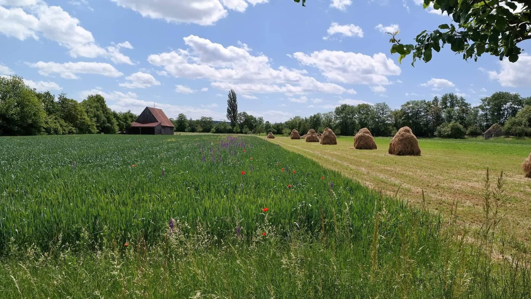 Kommunal-Gebräu: Offenes Ohr für Bürgerthemen