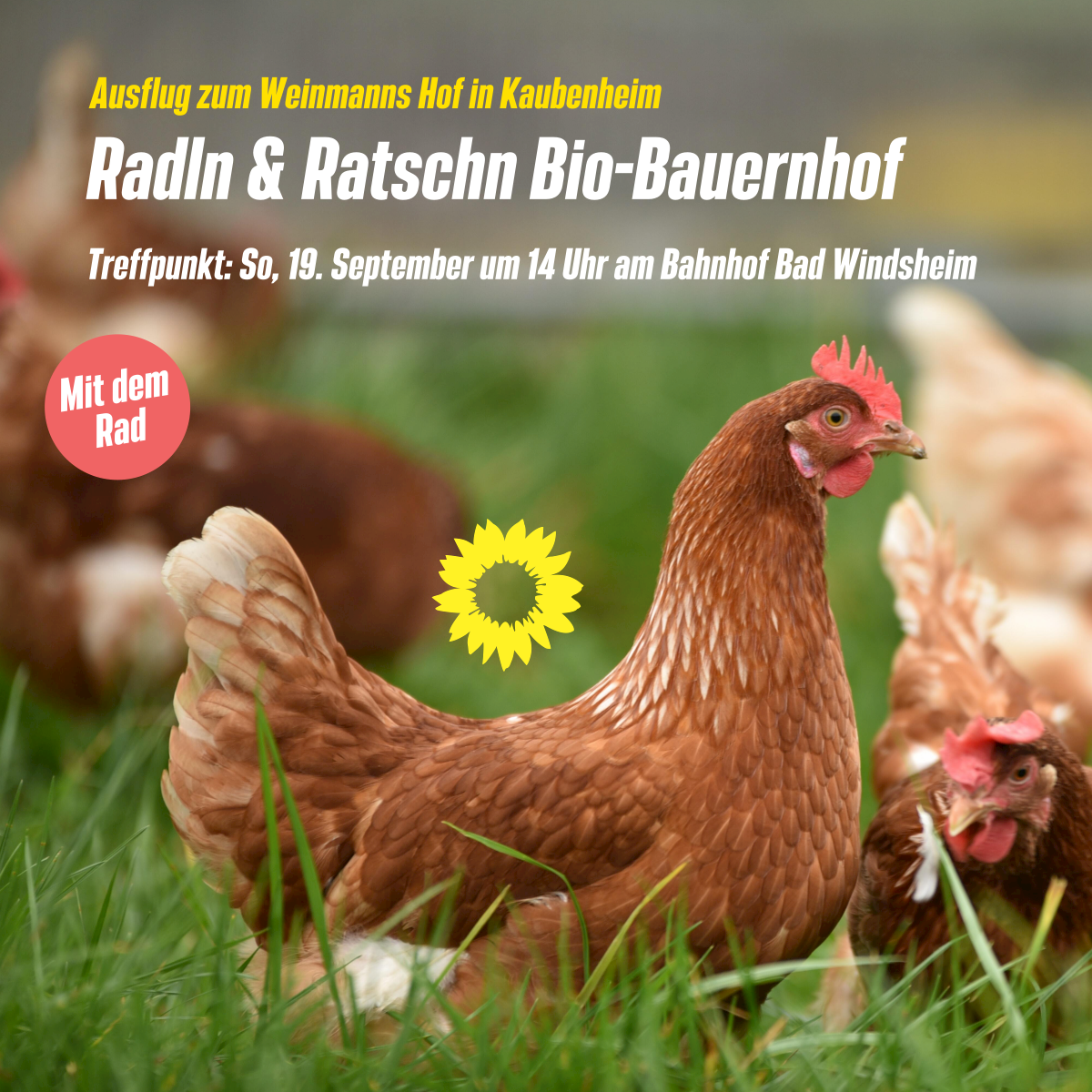 Radln & Ratschn: Bio-Bauernhof