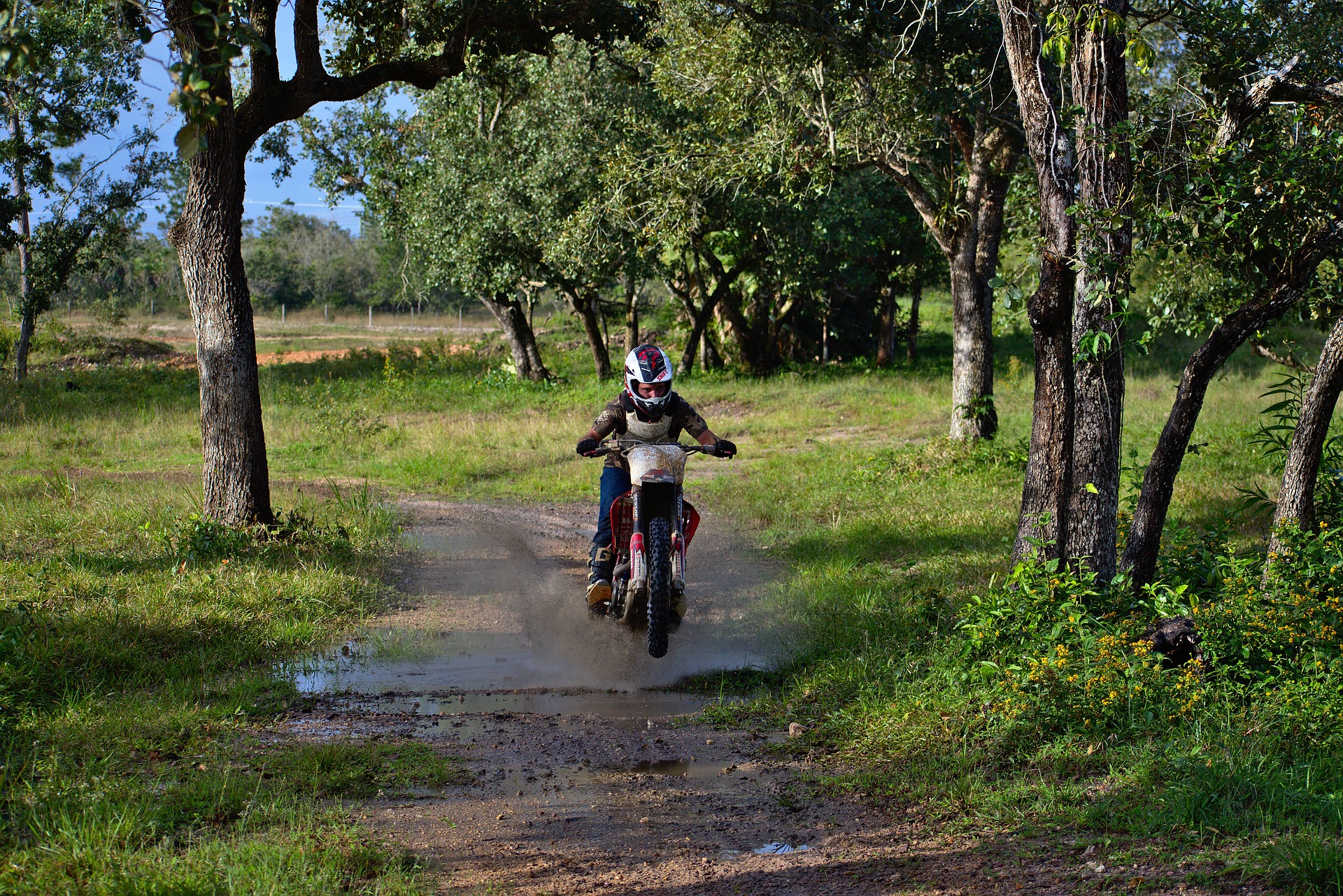 Motorengeheul durch unsere Wälder