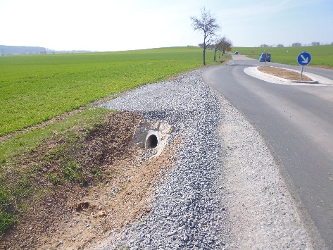 Schnipsel aus dem Gemeinderat