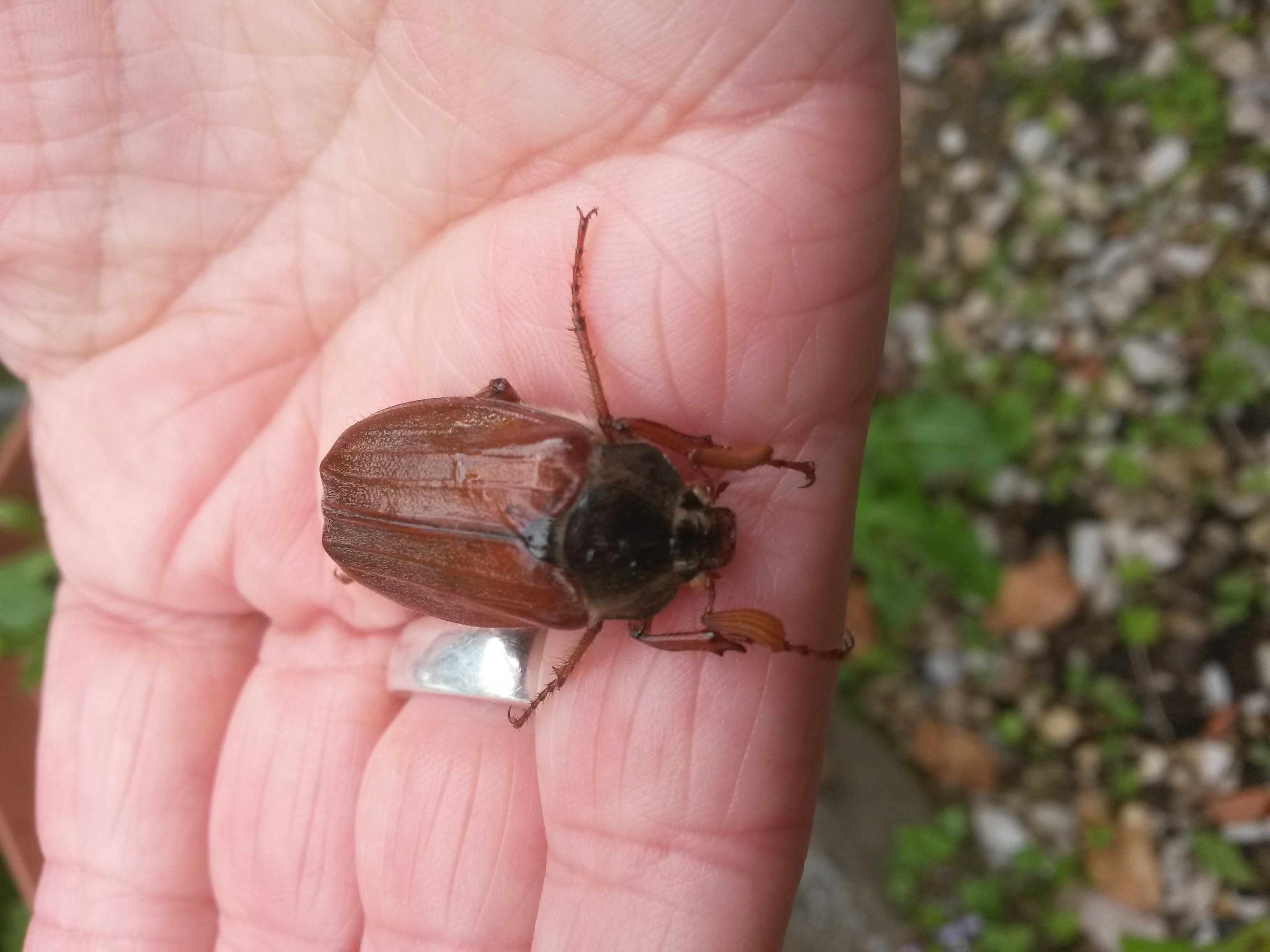 ARTENVIELFALT GEHT ALLE AN