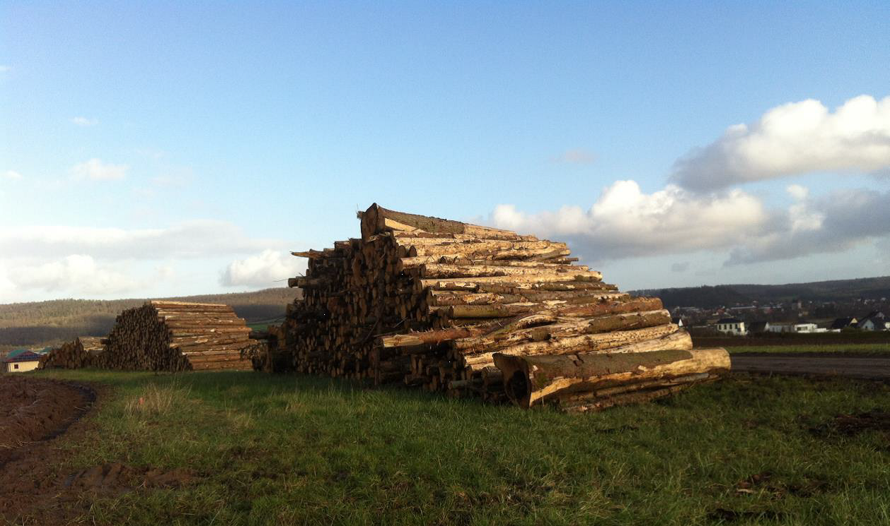 Durch die grüne Brille gesehen ...