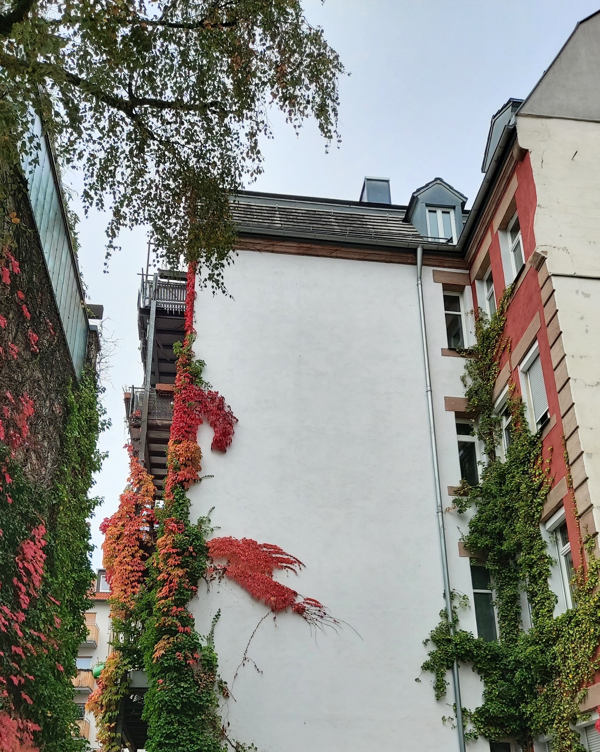 Durch die grüne Brille gesehen ...