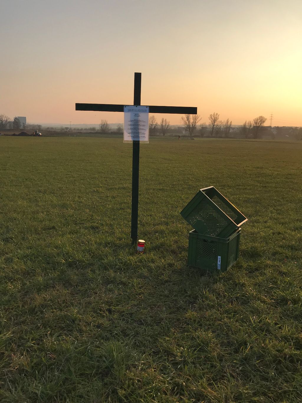 Durch die grüne Brille gesehen ...