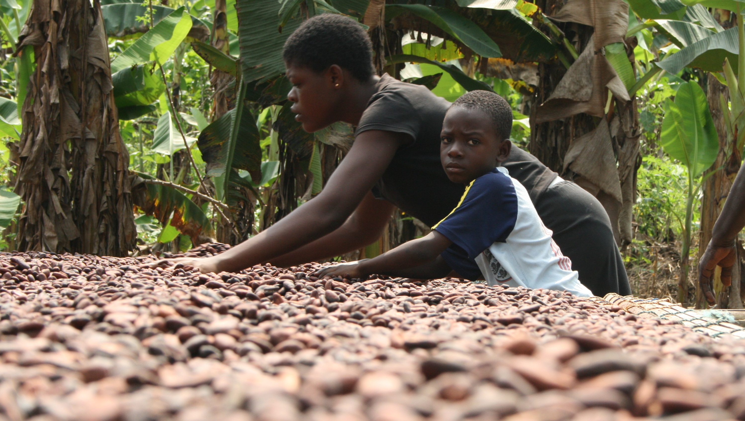 Durch die grüne Brille gesehen ... 