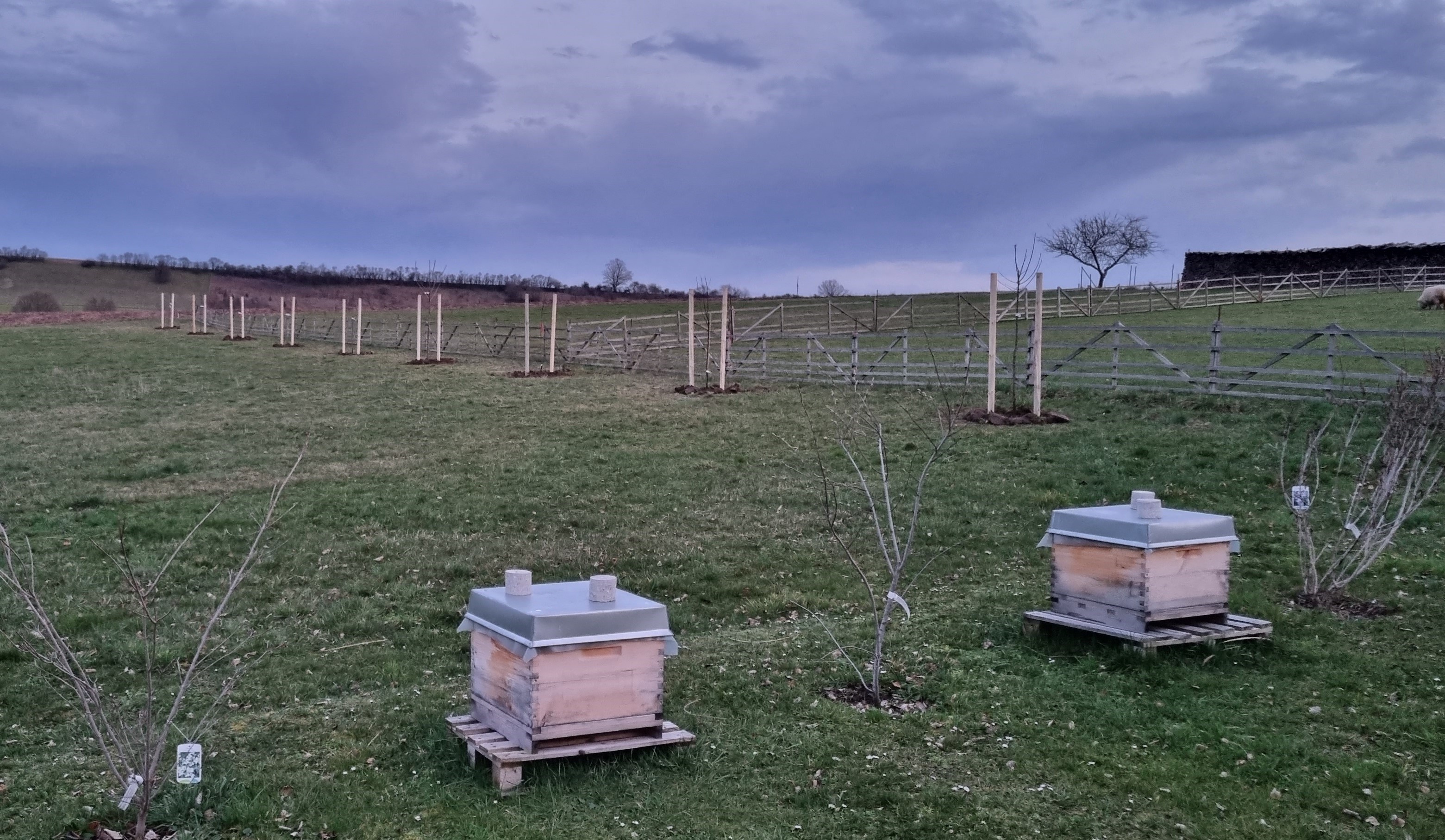 Durch die grüne Brille gesehen ...