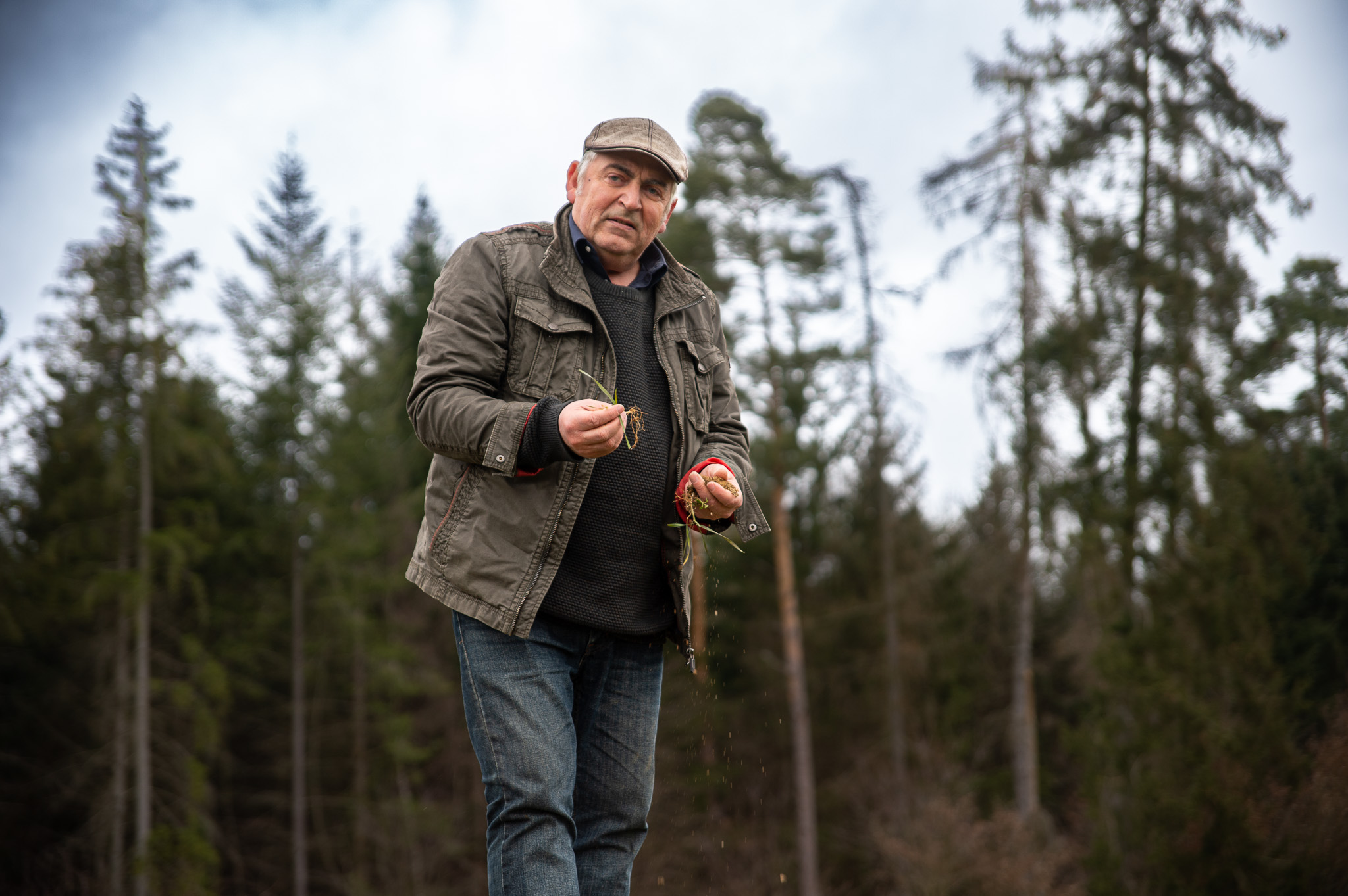 Durch die grüne Brille gesehen ... 