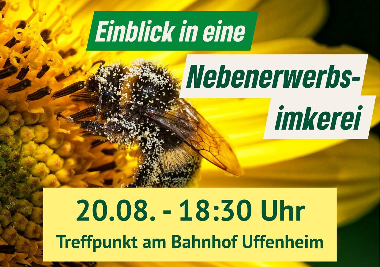Einblick in eine Nebenerwerbsimkerei