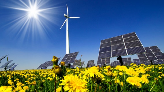 Wege zur Energiewende für Kommunen - Veranstaltung mit MdL Martin Stümpfig