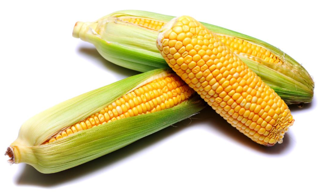 Ein Brief aus Amerika