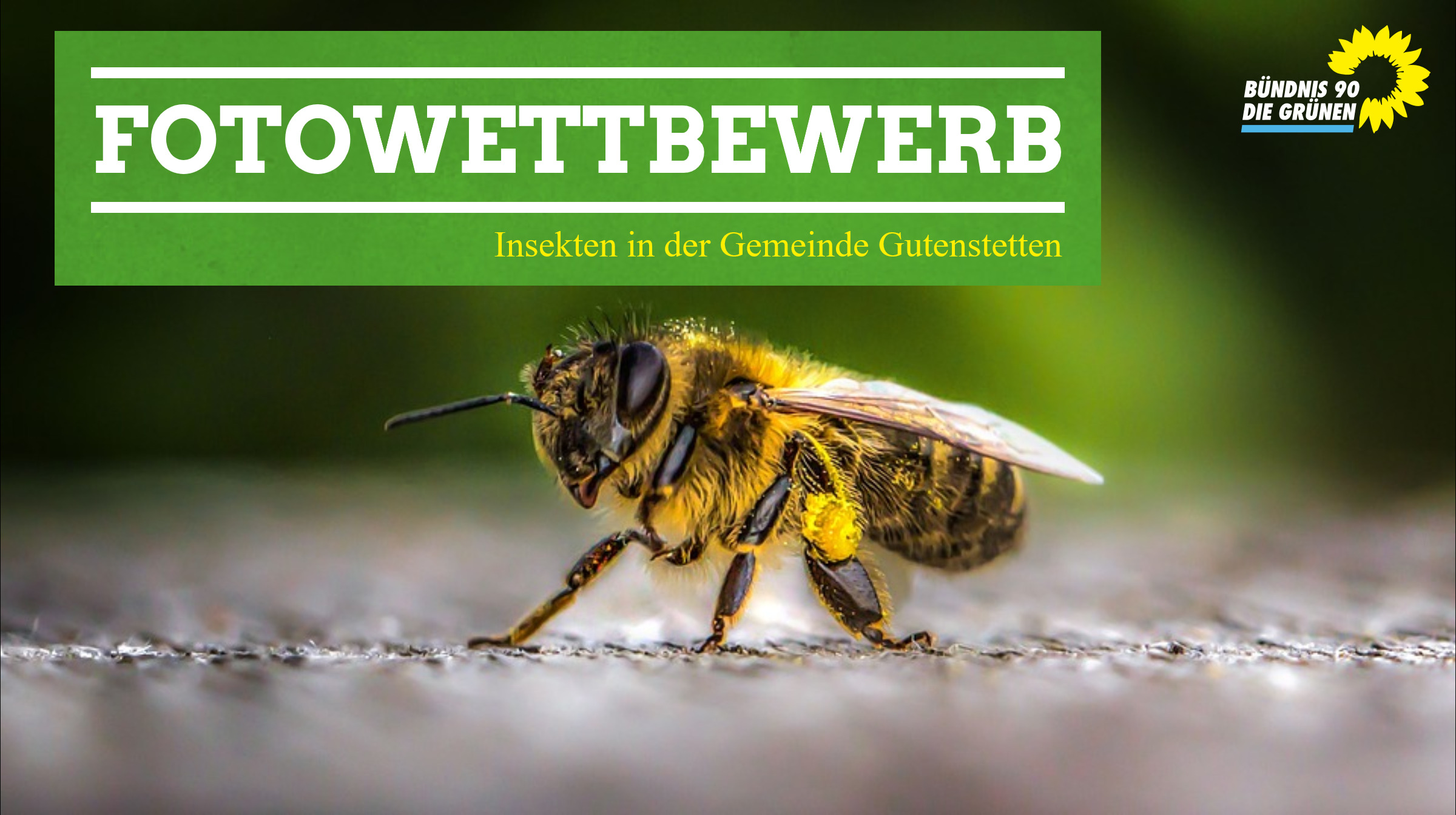 Eröffnungsveranstaltung zur Fotoausstellung “Insekten in unserer Gemeinde”