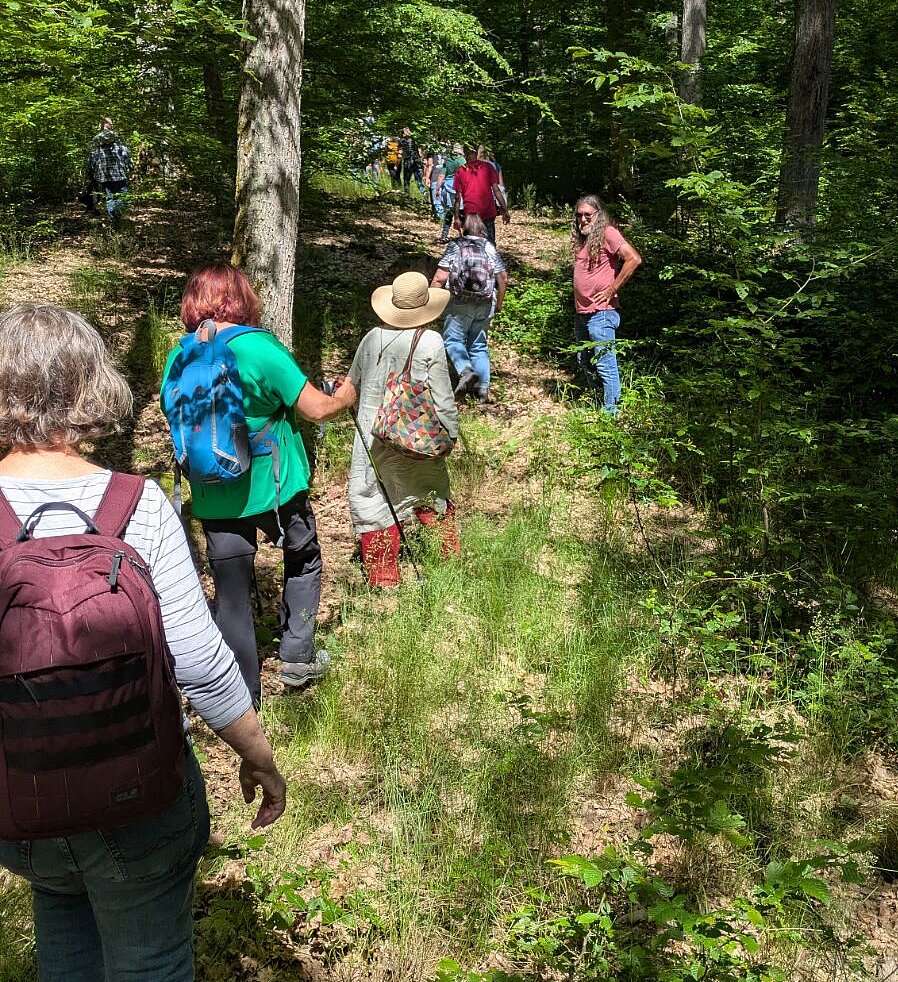 Exkursion: Wald im Wandel - Klimaveränderung und Jagd