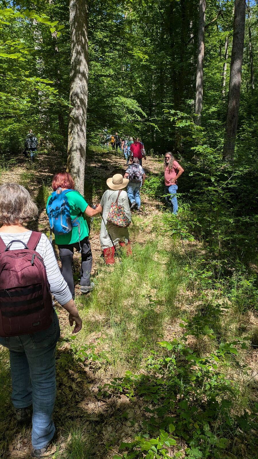 Exkursion: Wald im Wandel - Klimaveränderung und Jagd