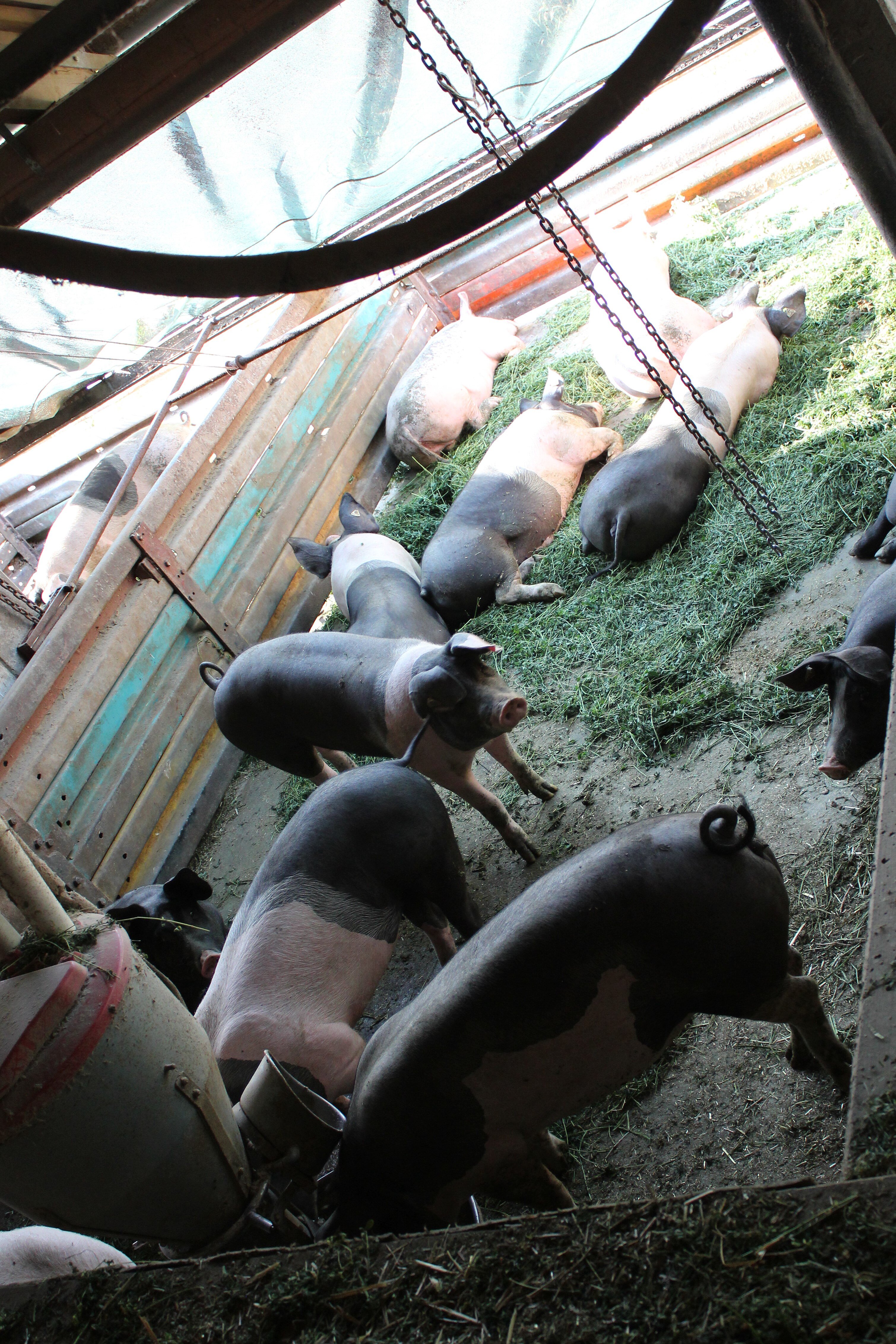 "Es geht auch anders ..."