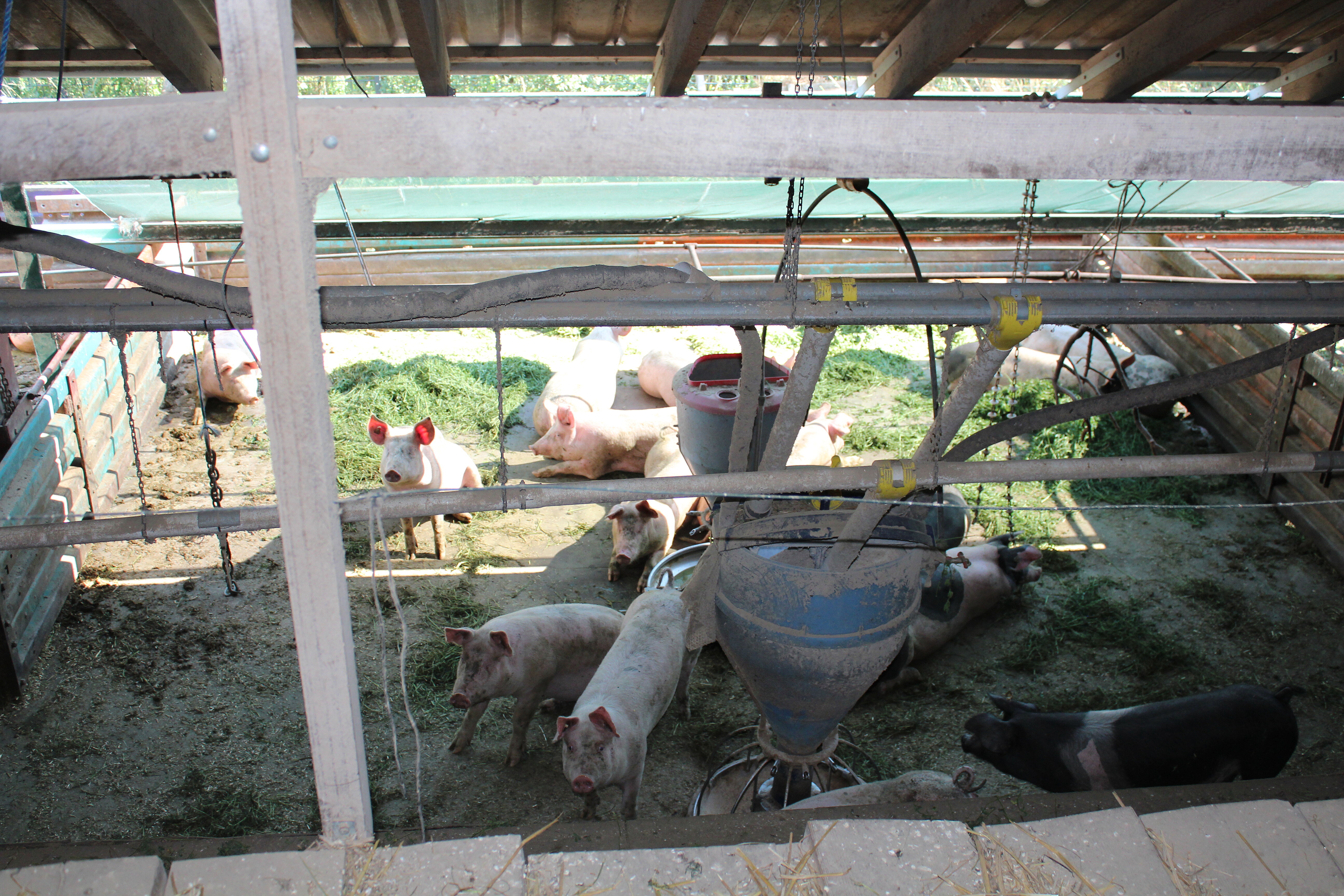 "Es geht auch anders ..."