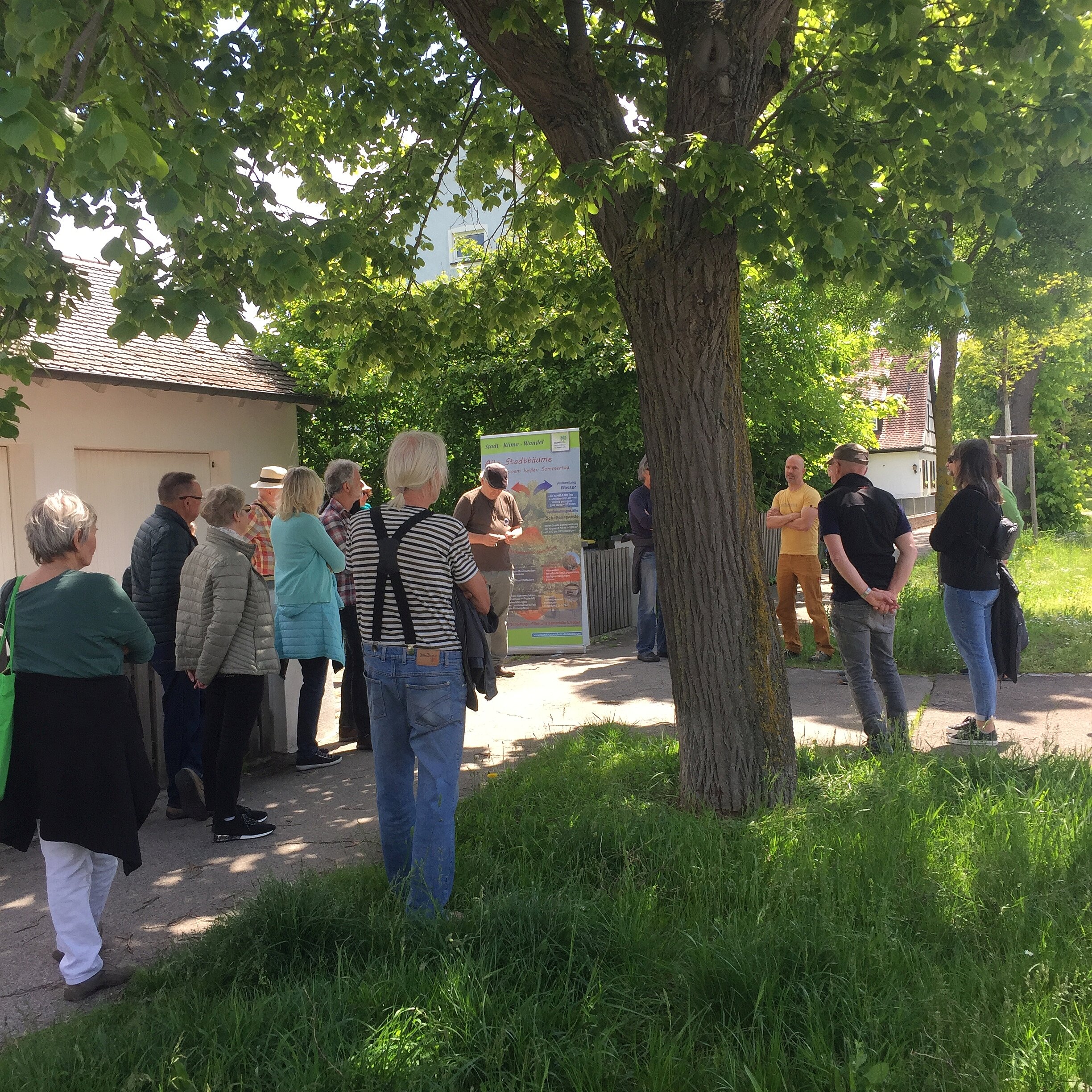 Walk & Talk Stadtbäume - Rückblick & Vorschläge